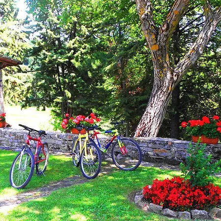Agriturismo Aurora Frazione Mocaiana