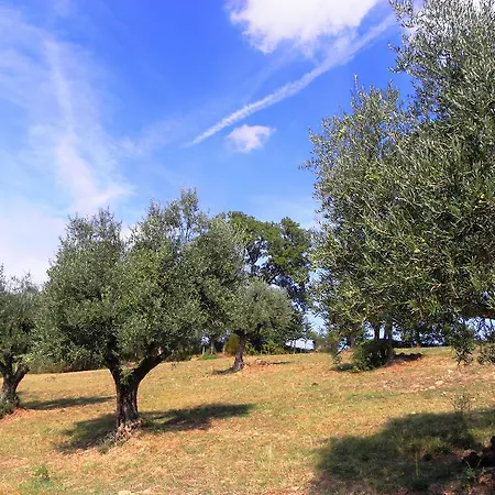 Farm stay Agriturismo Aurora