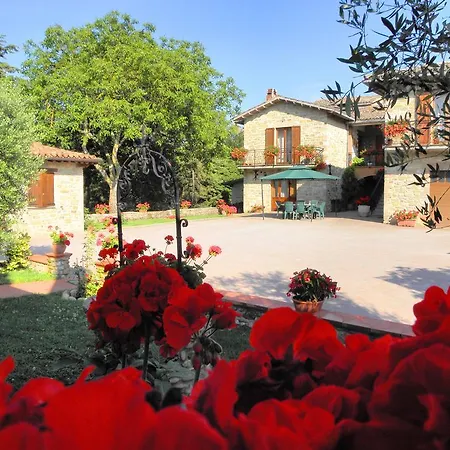Farm stay Agriturismo Aurora Frazione Mocaiana